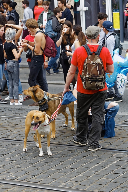 Gay Pride Bordeaux 2016-181